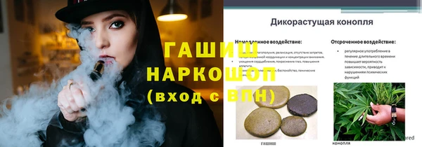 герыч Алексин