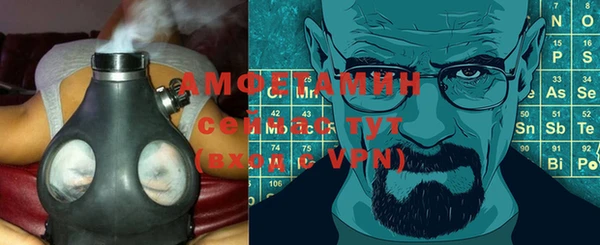 твердый Абаза